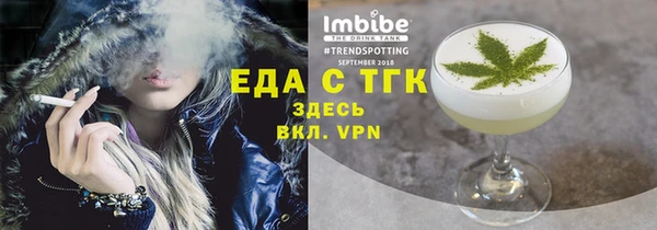 гидра Верхний Тагил