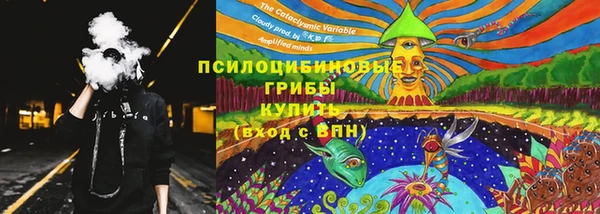 ГАЛЛЮЦИНОГЕННЫЕ ГРИБЫ Бабаево