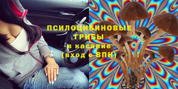 спайс Анива