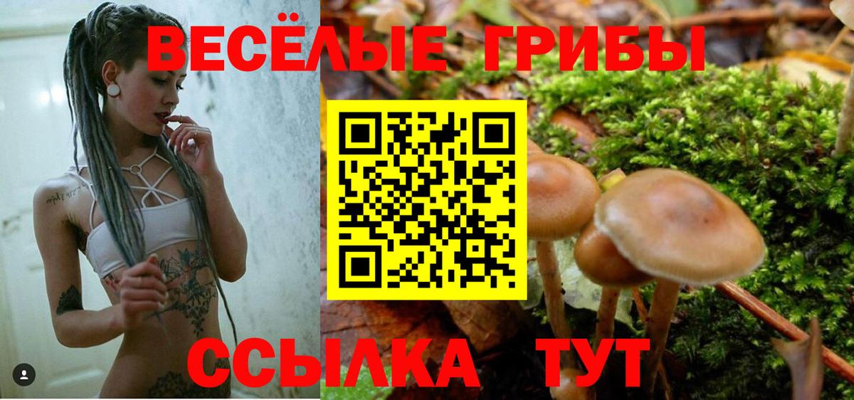 Псилоцибиновые грибы Magic Shrooms Новокузнецк